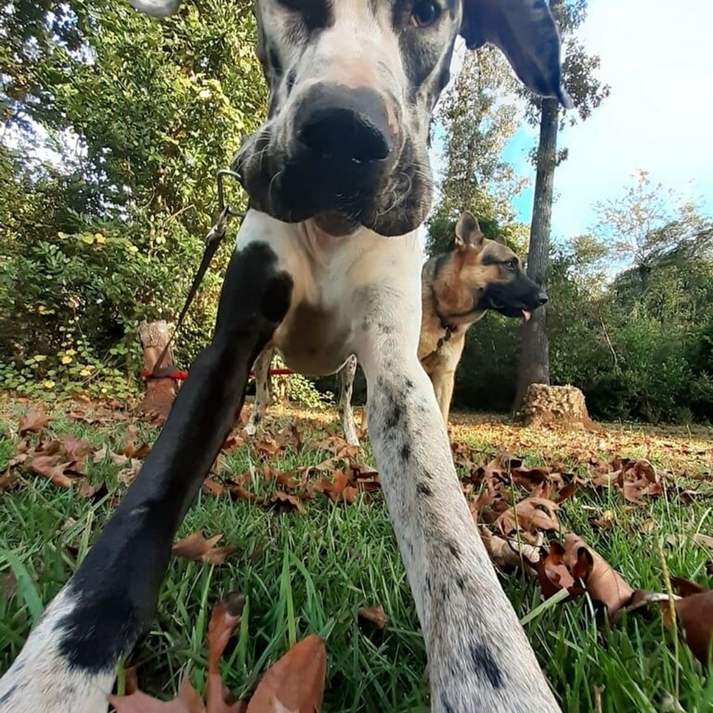 Hello Poshmark family! I am Chyteal. - Picture 12 of 16